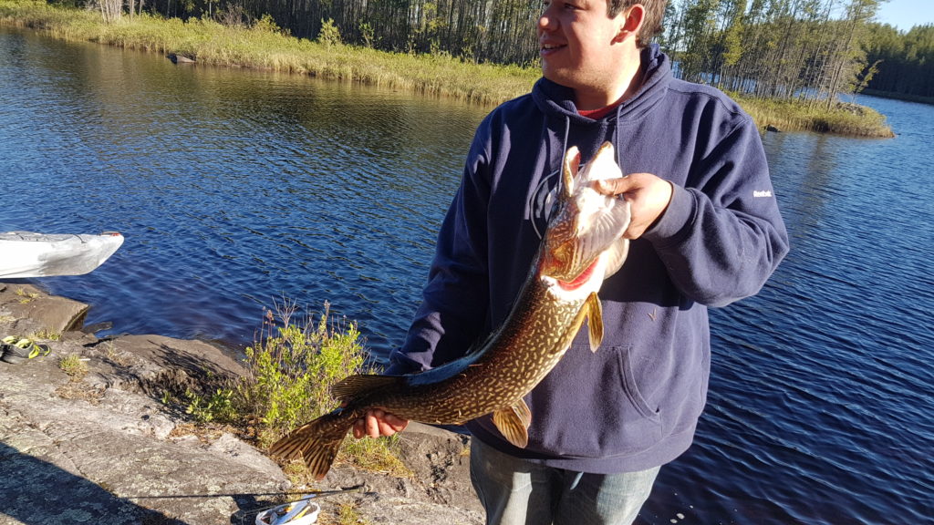 Spring pike colin