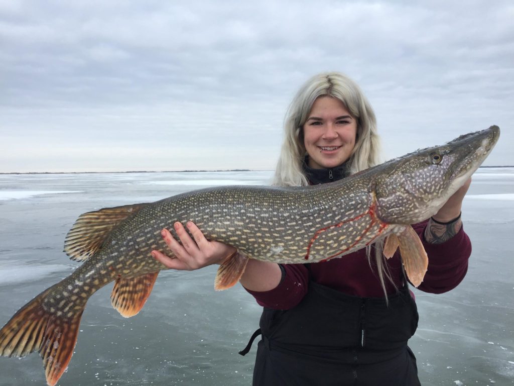 Spring Pike, Targeting Monsters at Ice-Out - True North Wilds