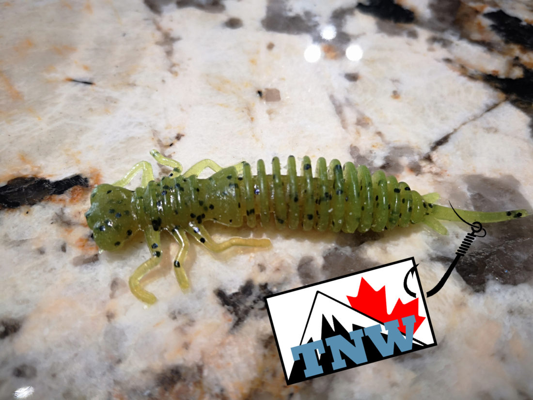Larva, fits in with the bugs, by Fanatik Baits - The Hookup - True North  Wilds