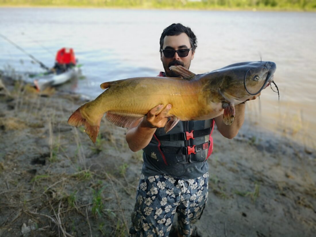 the Red River catfish